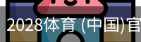 2028体育 (中国)官方网站-2028sports